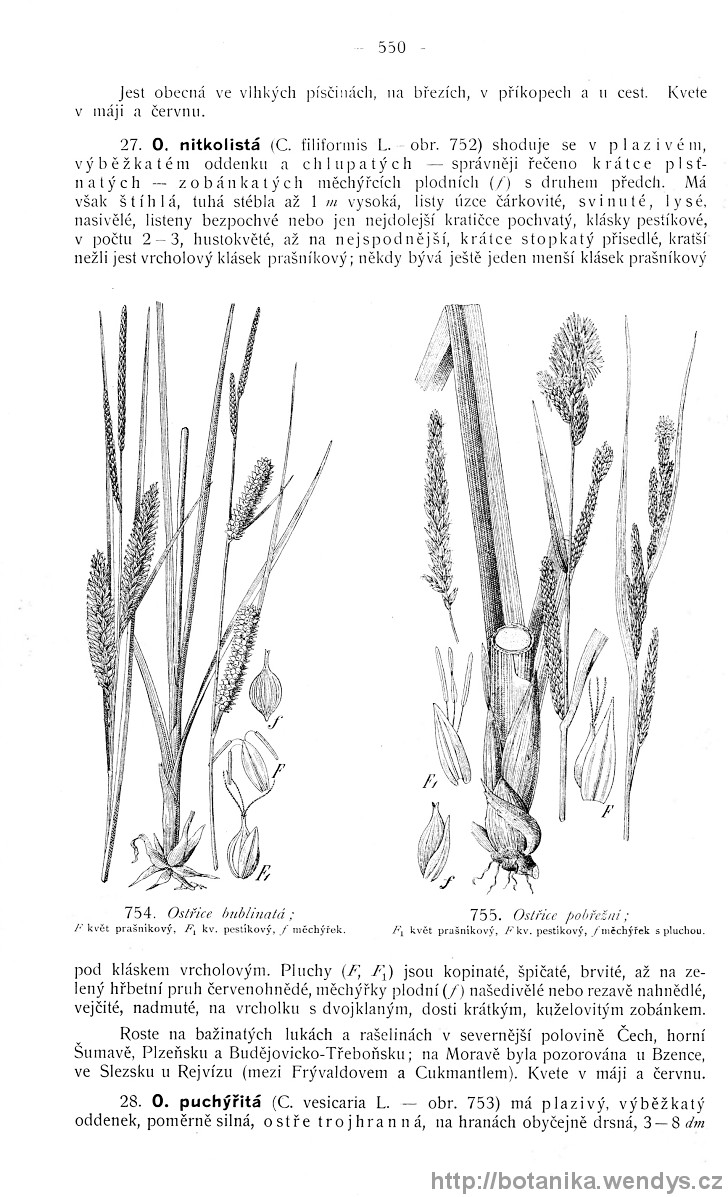 Názorná květena zemí koruny české, svazek 4, strana 550