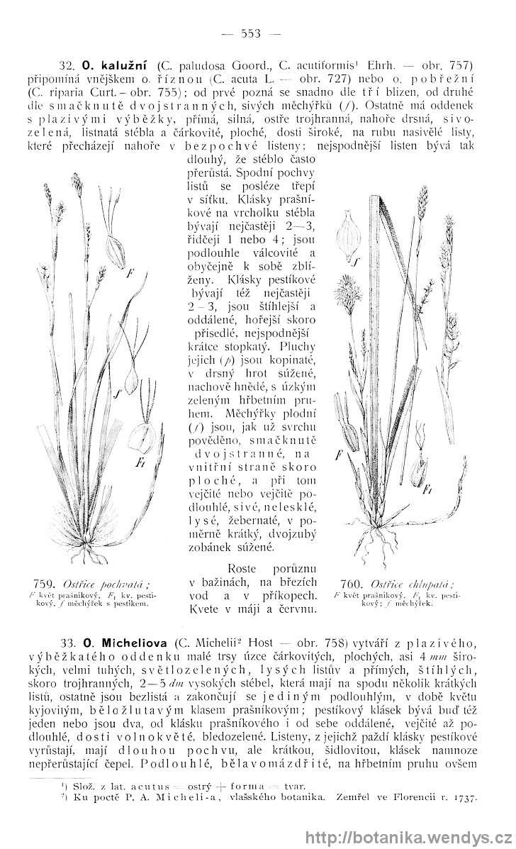 Názorná květena zemí koruny české, svazek 4, strana 553