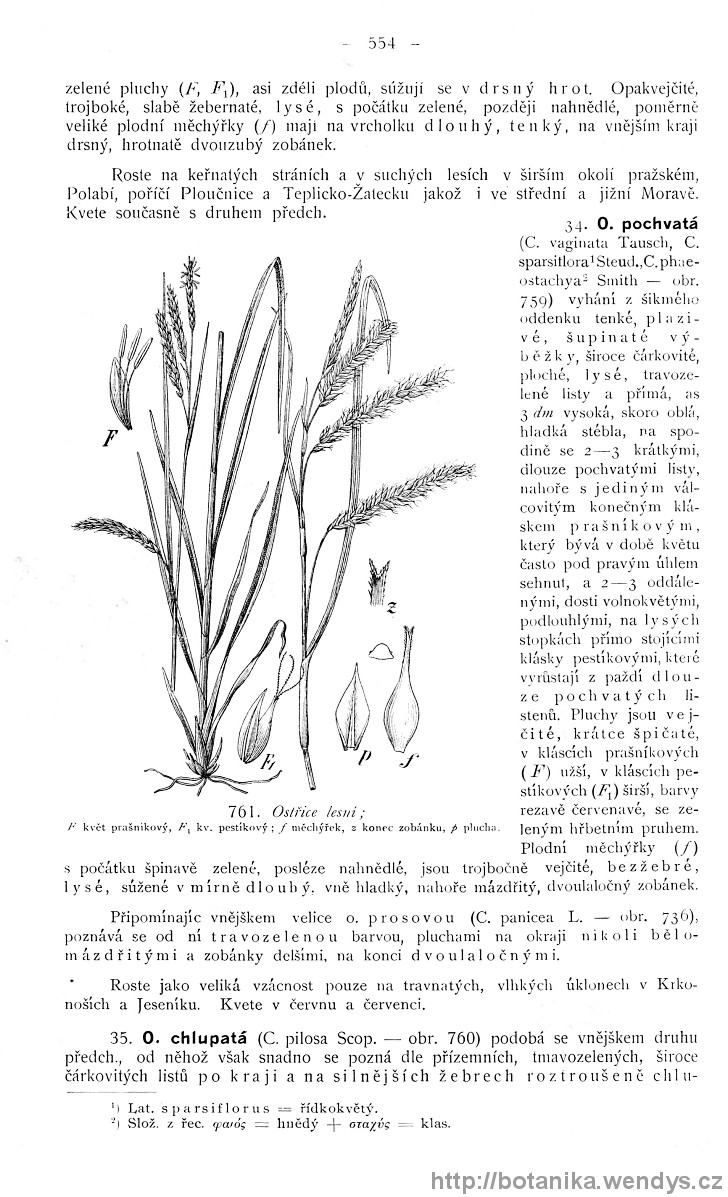 Názorná květena zemí koruny české, svazek 4, strana 554