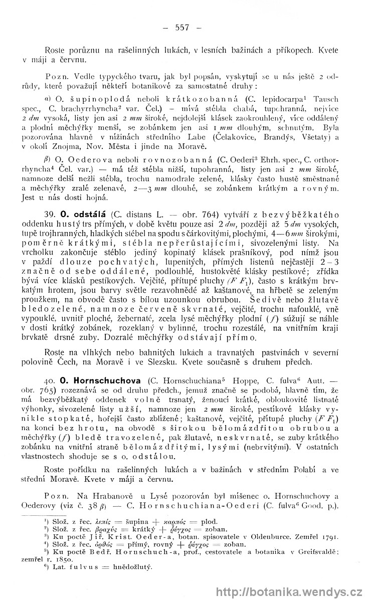 Názorná květena zemí koruny české, svazek 4, strana 557