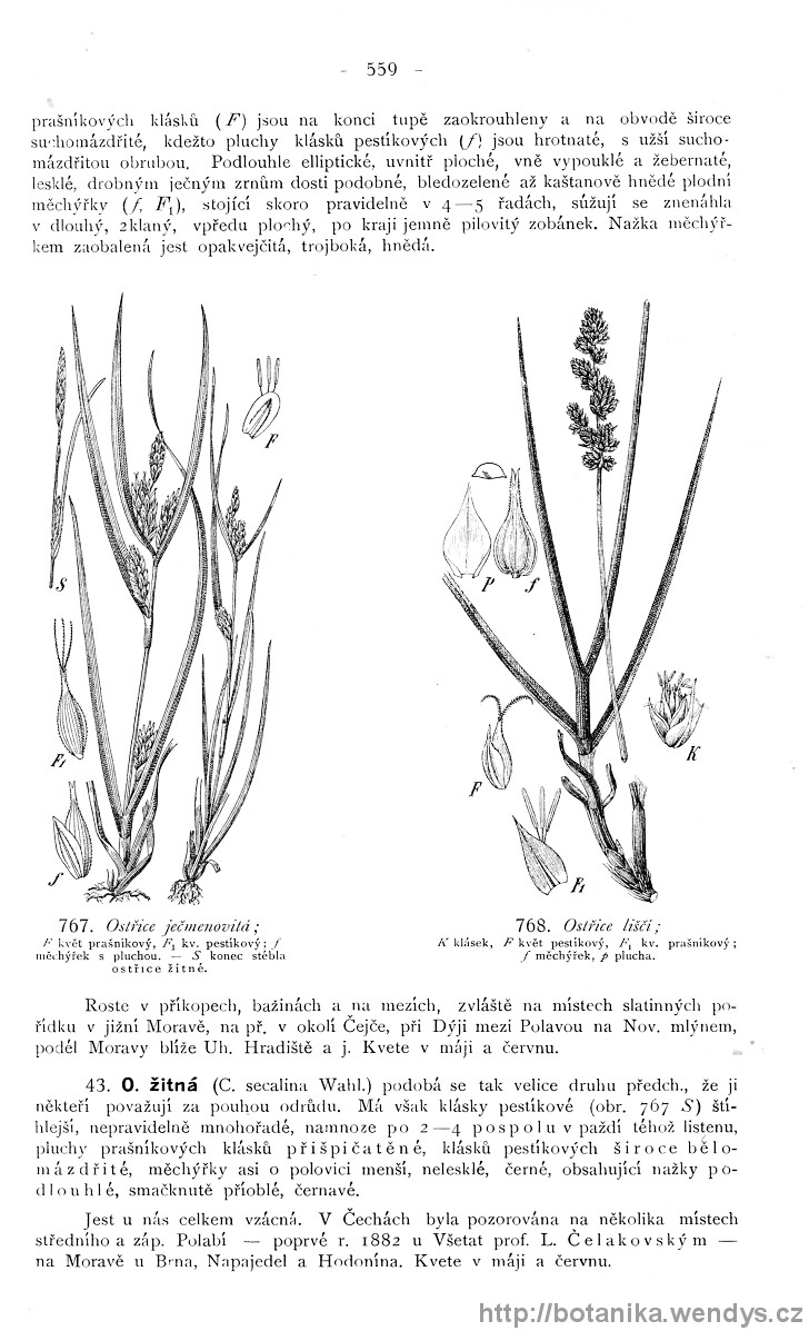 Názorná květena zemí koruny české, svazek 4, strana 559