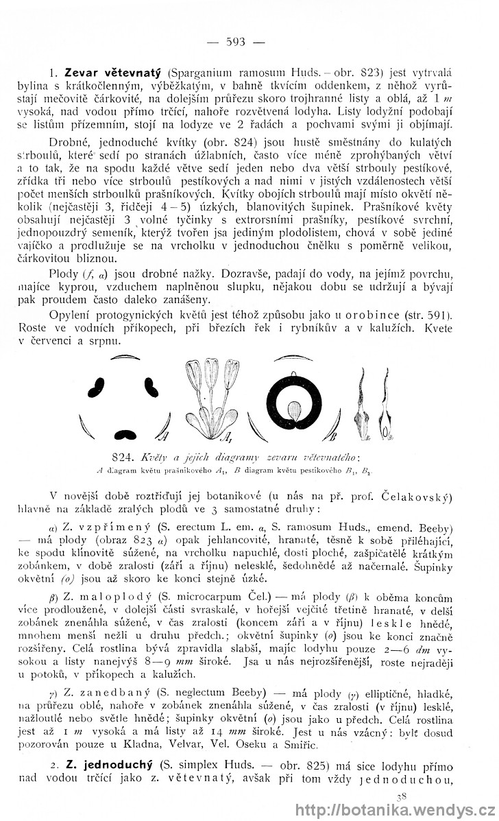 Názorná květena zemí koruny české, svazek 4, strana 593