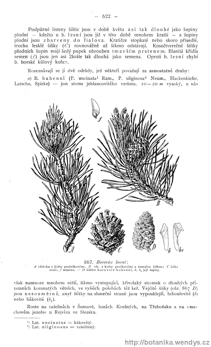 Názorná květena zemí koruny české, svazek 4, strana 622