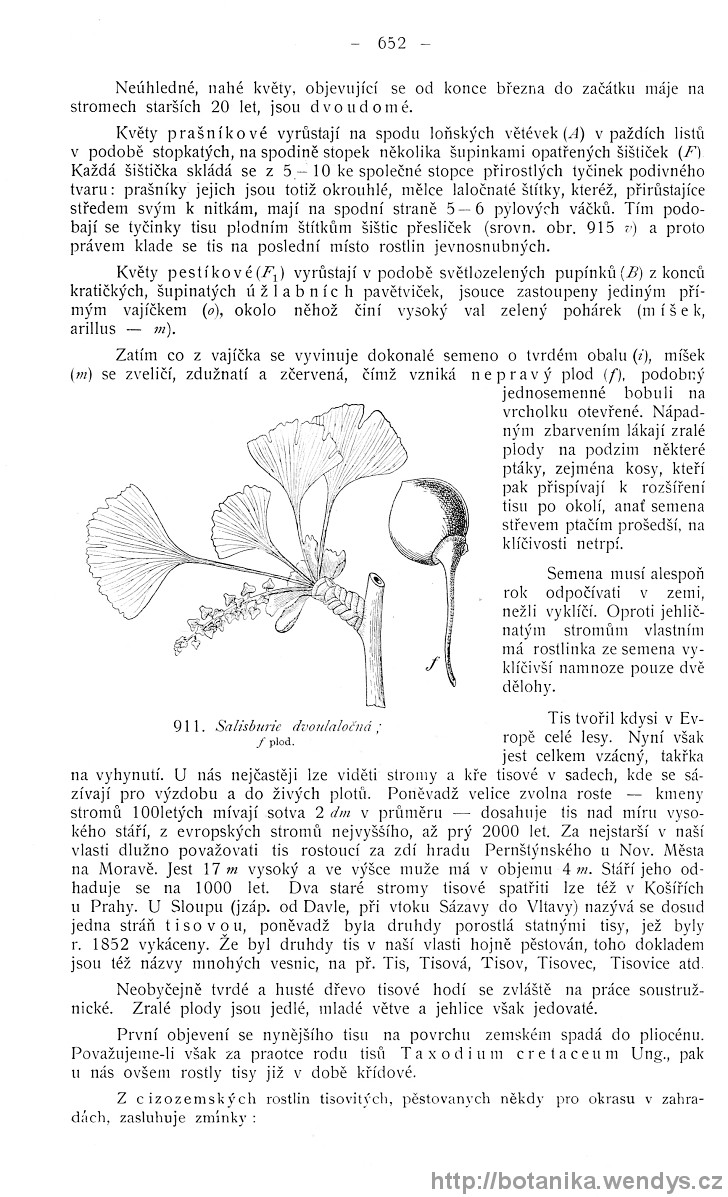Názorná květena zemí koruny české, svazek 4, strana 652