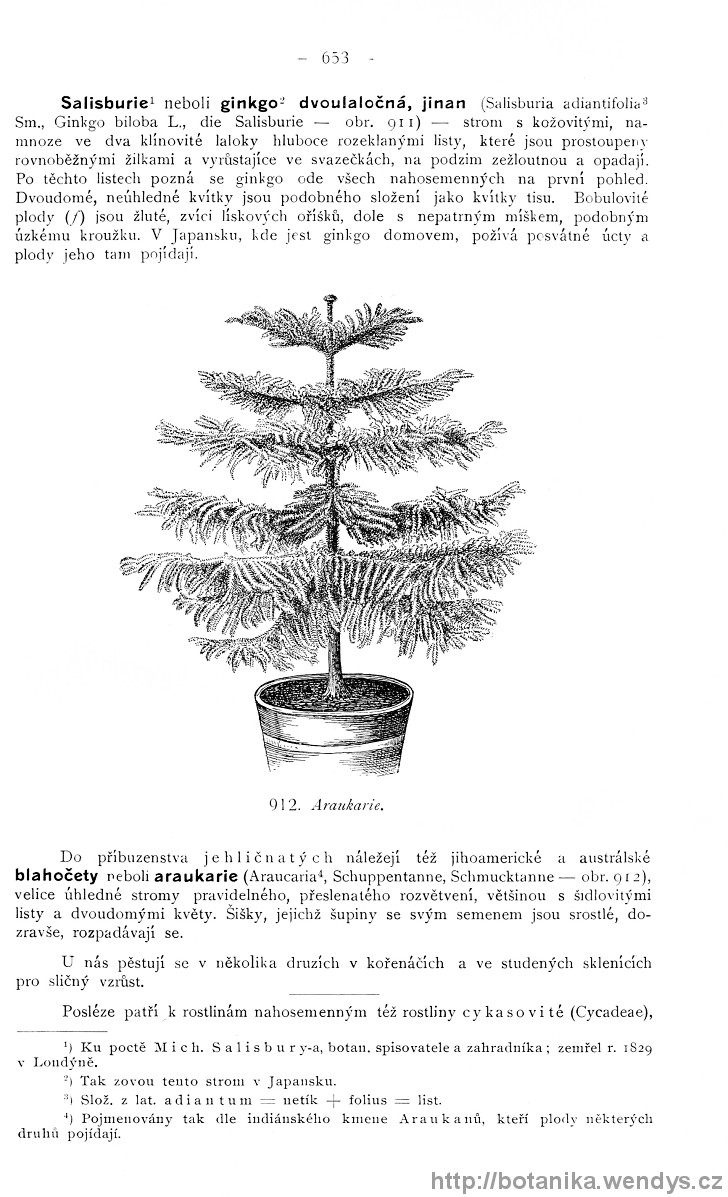 Názorná květena zemí koruny české, svazek 4, strana 653